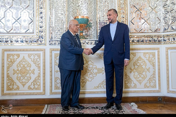 عبداللهيان يبحث مع نظيره الكوبي تبادل الخبرات لإفشال الحظر