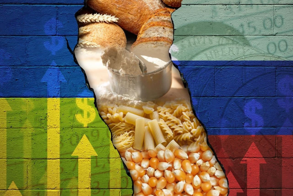 Продовольственная безопасность; Оправдание для глобализации украинской войны