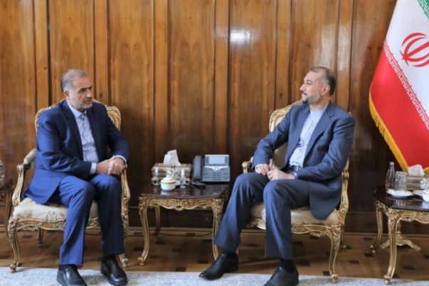 Посол Ирана в России встретился с Амир-Абдоллахианом