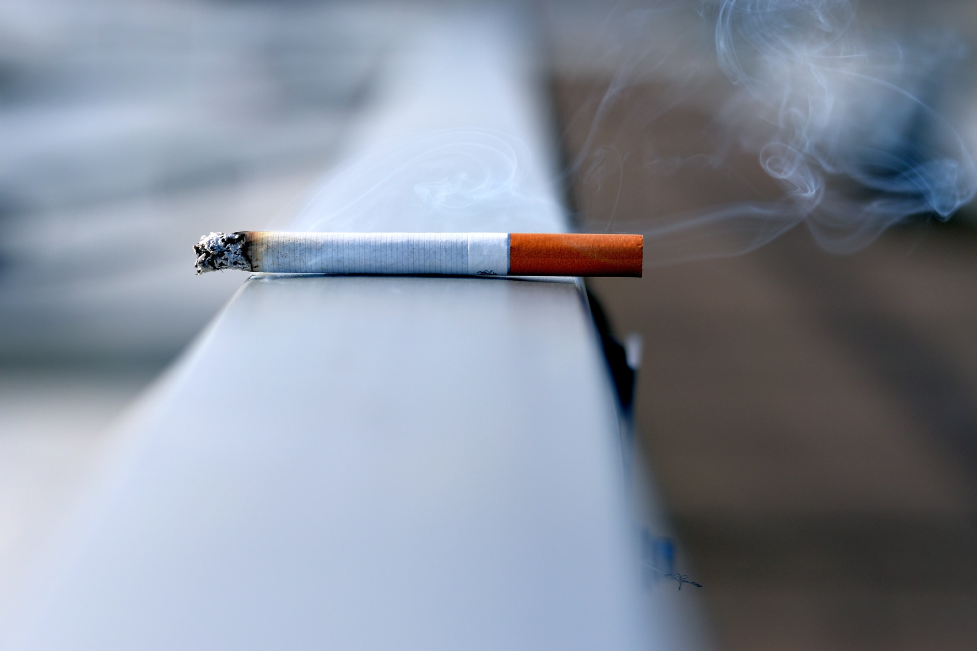تاثیر ویرانگر صنعت دخانیات بر محیط زیست