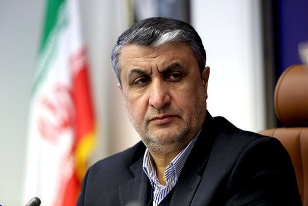 У Ирана нет никакой скрытой ядерной деятельности, заявил глава ОАЭИ