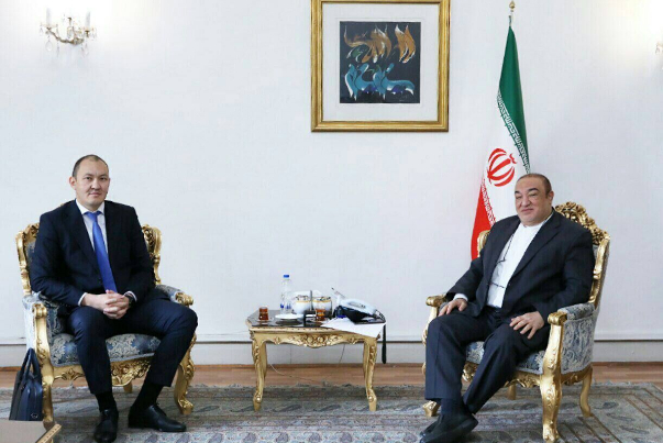 Генсекретарь ТРАСЕКА встретился с заместителем министра иностранных дел Ирана по экономической дипломатии