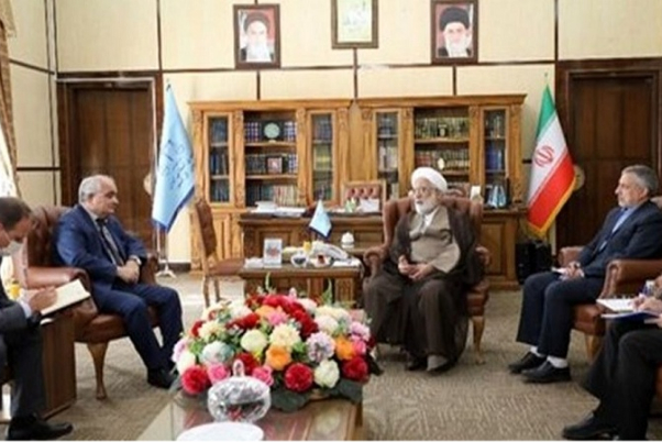 Посол России подчеркнул роль Ирана в обеспечении региональной безопасности и международных взаимодействиях