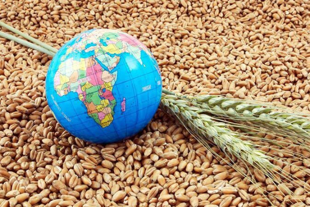 ریشه بحران غذایی آفریقا کجاست؟