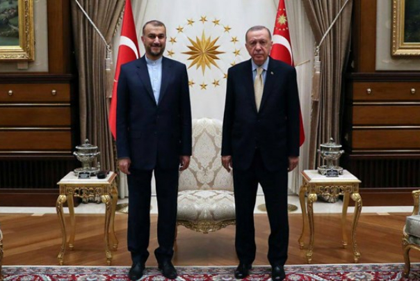 امیرعبداللهیان با اردوغان دیدار کرد+ عکس