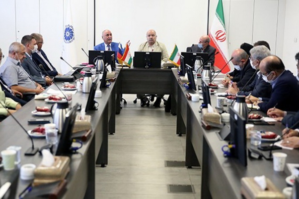 Сотрудничество частного сектора Ирана с Межправительственным советом СНГ