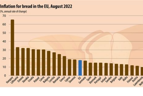 تورم نان در اروپا 6 برابر شد + نمودار