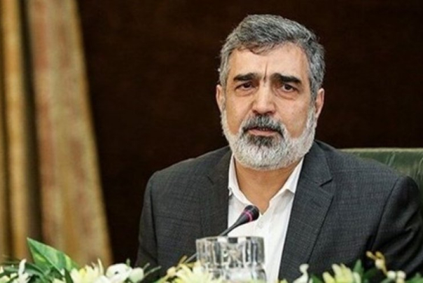 كمالوندي: سنعلن قريبا عن اخبار جيدة في مجال المفاعلات والادوية المشعة