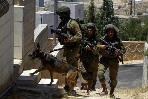 الاحتلال يشن حملة اعتقالات واسعة في الضفة تستهدف نابلس وجبع جنوب جنين