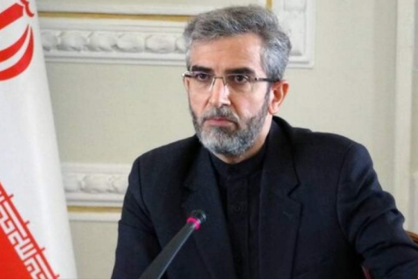 Багери Кани: Иран как эффективный член всегда эффективно сотрудничал с Агентством