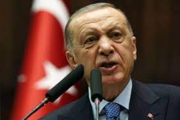 Эрдоган проведет «телефонную дипломатию» с Путиным и Зеленским