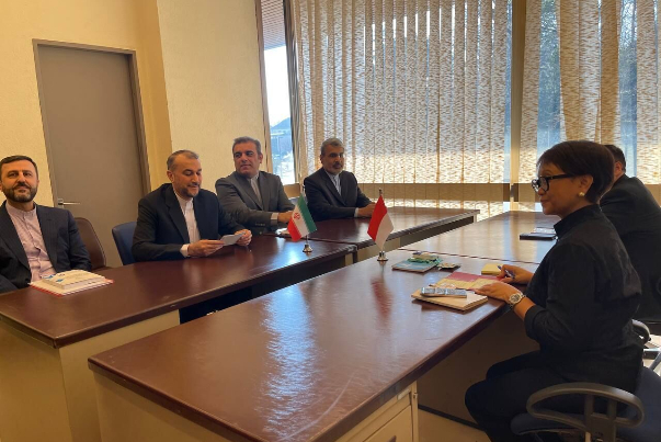 Министры иностранных дел Ирана и Индонезии встретились в Женеве