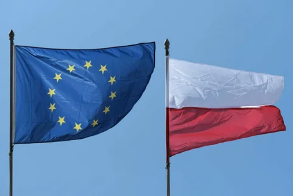 مقام لهستانی: نیمی از اروپا خواهان صلح با روسیه هستند