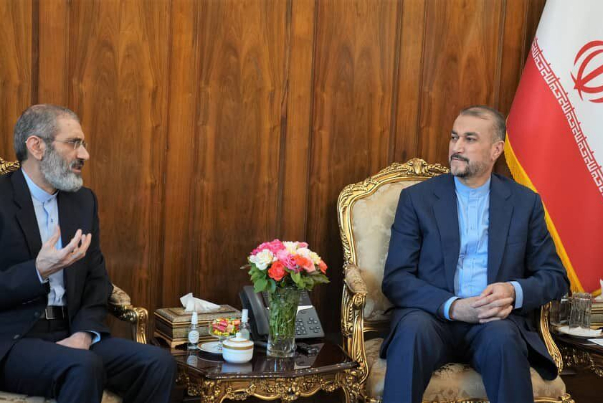 عبداللهيان: آثار المعاناة والسجن البادية على الدبلوماسي اسدالله اسدي مؤلمة جدا