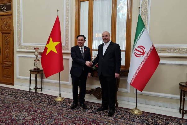 روسای مجلس ایران و ویتنام دیدار و گفتگو کردند