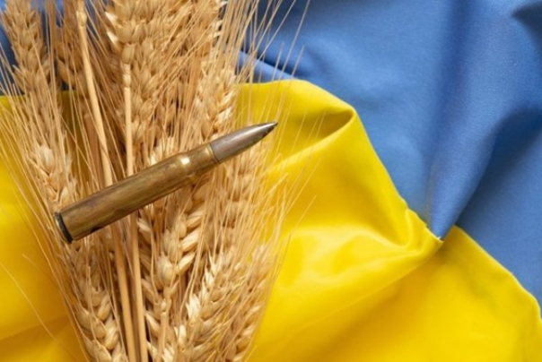 Зерновая война уклонилась нас от самой темы украинской войны!
