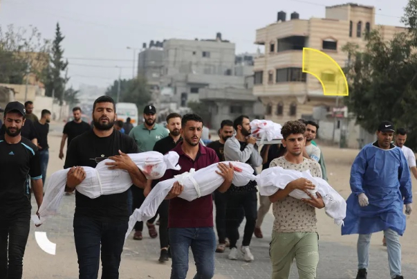 20 يوما للعدوان على غزة.. الشعب متمسك بالمقاومة رغم مجازر العدو الوحشية