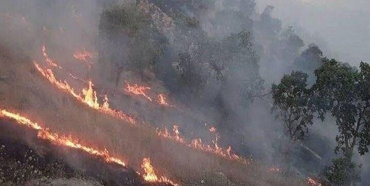18 هکتار از اراضی گیلان در آتش سوخت