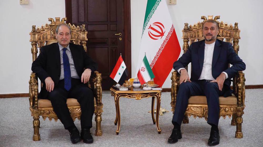Amir-Abdollahian in a meeting with his Syrian counterpart: Iran, Syria share stance on need to end Israeli genocide in Gaza