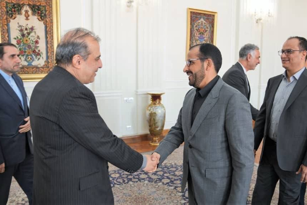 Консультация старшего советника министра иностранных дел со старшим переговорщиком правительства Йемена