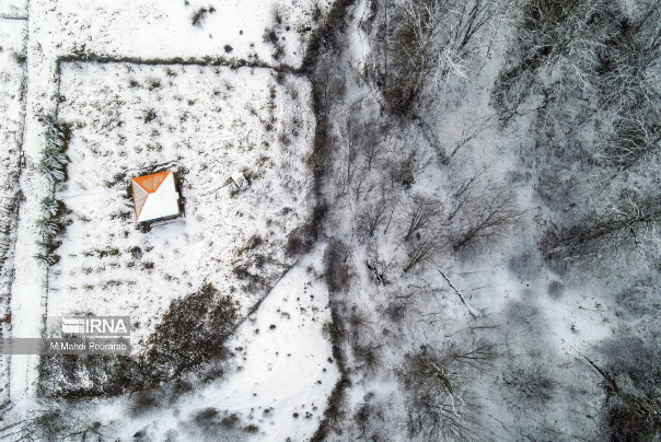 گزارش تصویری | طبیعت زمستانی گلستان