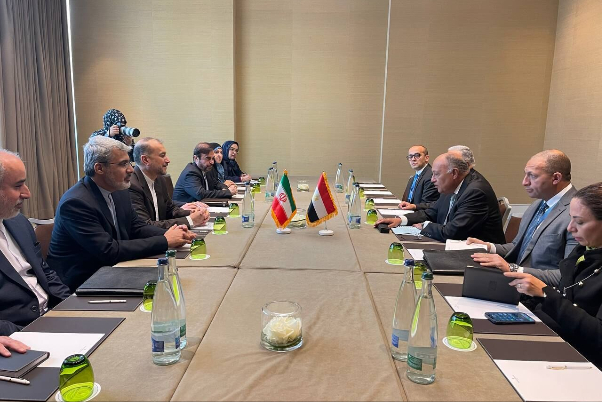 Встреча министров иностранных дел Ирана и Египта в Женеве