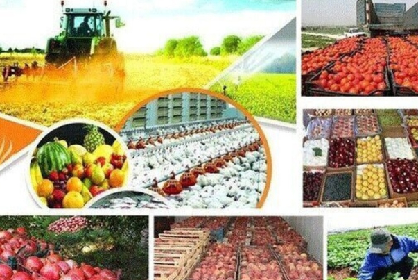 Рост экспорта продовольственных и сельскохозяйственных продуктов Ирана на 23%
