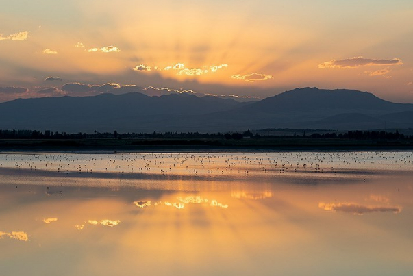افزایش 10 درصدی وسعت آب "دریاچه ارومیه" نسبت به سال گذشته