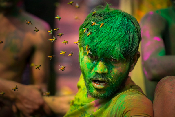 'گزارش تصویری| جشن «هولی» جشنواره رنگ ها