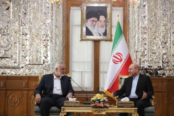 Iran parliament speaker, Hamas chief meet in Tehran
