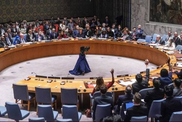 عدم اجماع شورای امنیت بر سر عضویت کامل فلسطین در سازمان ملل