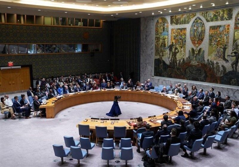 UNSC committee fails to agree on Palestine's UN membership