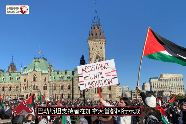 巴勒斯坦支持者在加拿大首都举行示威