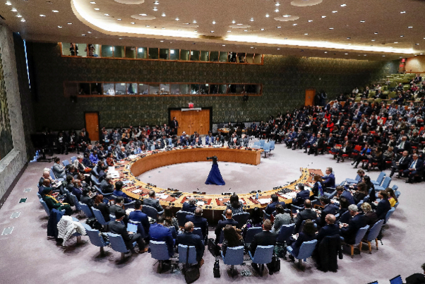 Чтобы Расследовать убийства, совершенные оккупантами в Рафахе; Сегодня Совет Безопасности проведет экстренное заседание