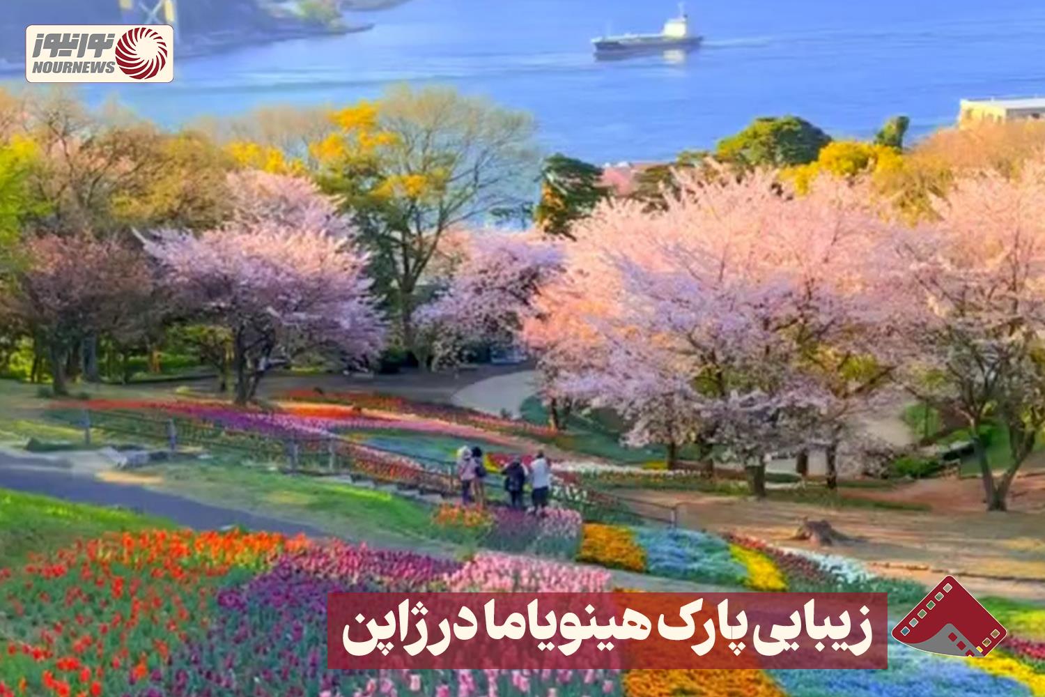 نورنما | زیبایی پارک هینویاما در ژاپن +فیلم