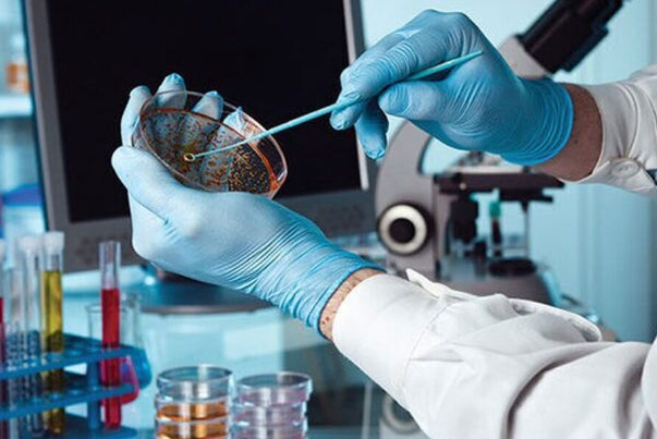 طريقة ايرانية واعدة وغير مكلفة لفحص الأدوية لعلاج السرطان