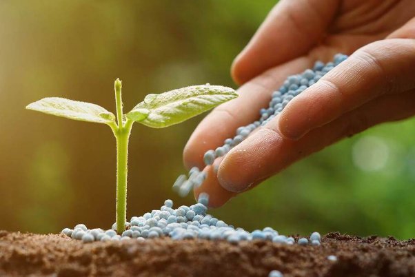 إنتاج الأسمدة الكيماوية وفقا للظروف الجوية الإقليمية في إيران