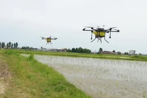 إبتكار واعد للعلوم الايرانية.. تغذية الحيوانات المائية بالطائرات والسفن المُسيّرة