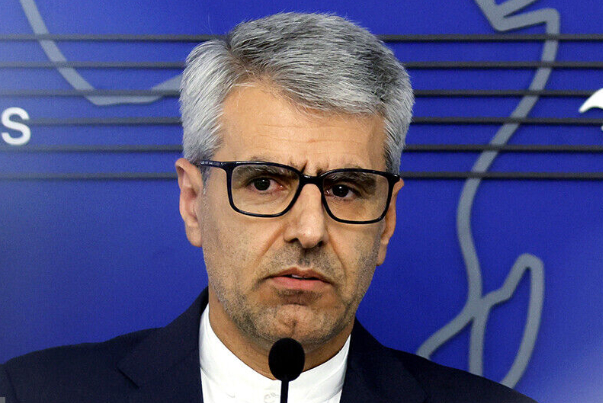 بقائي يهنئ الشعبين الايراني والباكستاني بذكرى ميلاد اقبال لاهوري