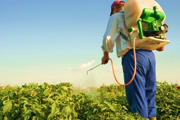 "المكافحة الحيوية" تنجي الزراعة من فخ السموم الكيماوية