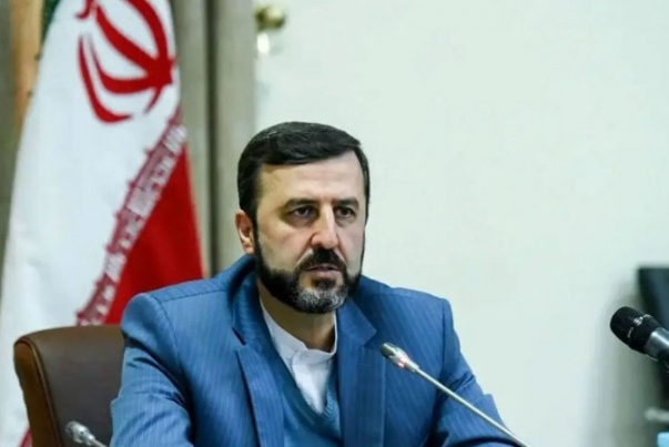 غريب ابادي: حقوق الإنسان تعاني من النهج التمييزي والمعايير المزدوجة