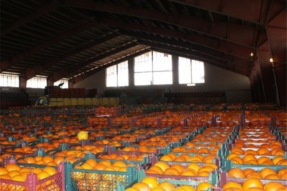 تصدير 294 ألف طن من المنتجات الزراعية من مهران إلى العراق