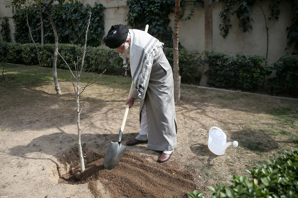 قائد الثورة: يجب التعامل بجدية مع حركة غرس الاشجار الوطنية