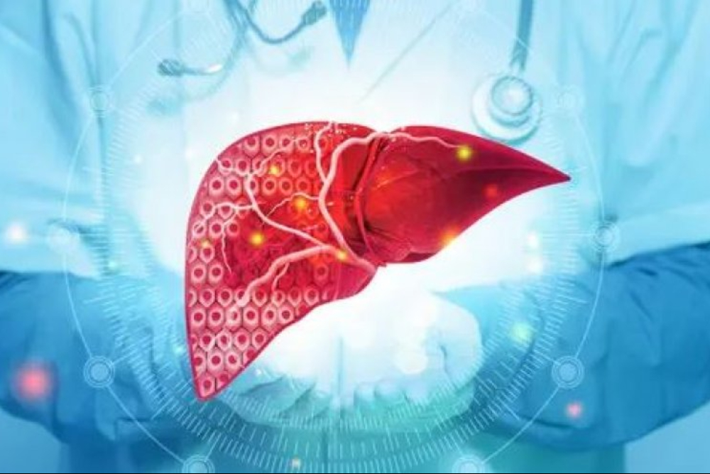 اكتشاف علمي: مركب فعال لعلاج الكبد وتحقيق أهداف فقدان الوزن