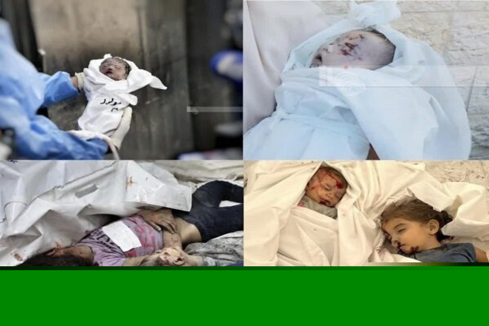 ارتفاع عدد شهداء غزة إلى 53,655 شخصاً