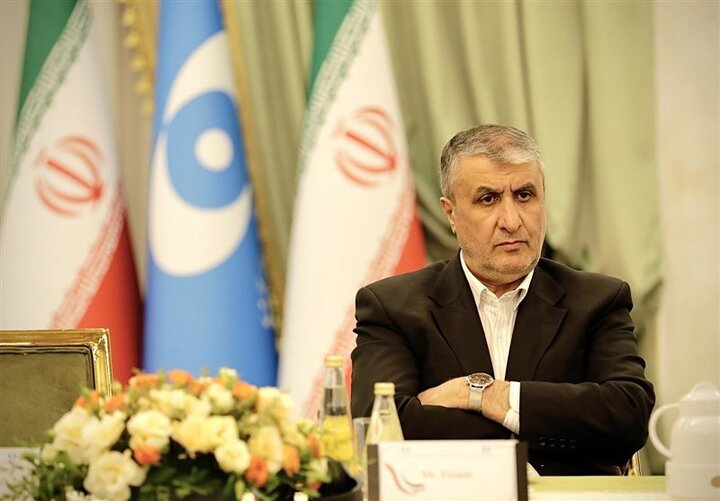 اسلامي: قرار الوكالة جاء للضغط على إيران..سنبدأ بالتخصيب في منشأة جديدة