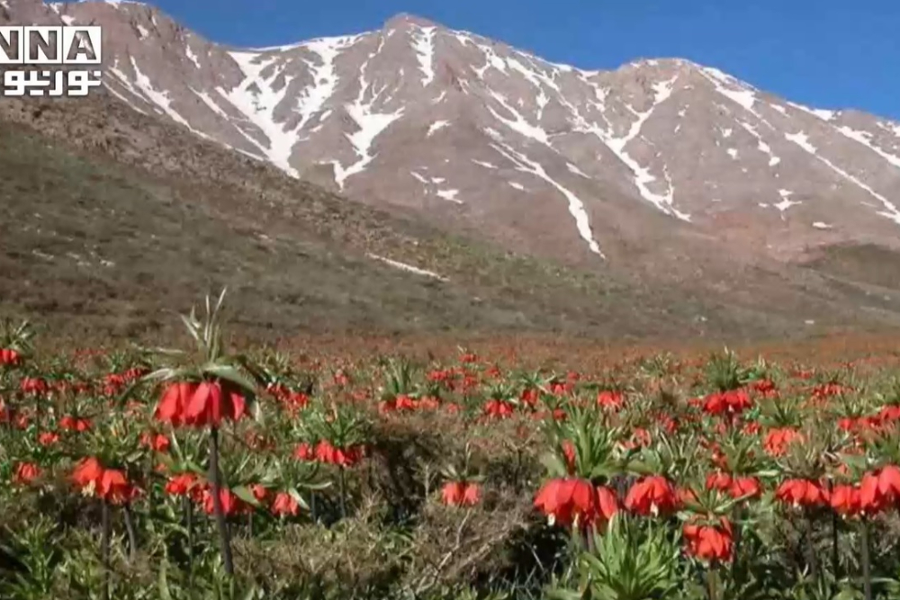سلاسل جبال جهار محال وبختياري