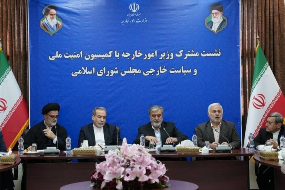 عراقجي يؤكد مواصلة الجهود لحماية حقوق إيران في الاستفادة من الطاقة النووية