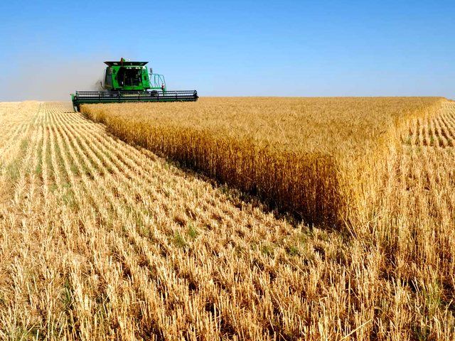 نایب رییس کمیسیون کشاورزی مجلس: کرونا به امنیت غذایی مردم آسیب زد