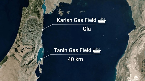 کاریش+تانین